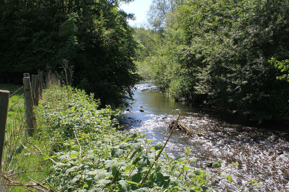 River Alyn