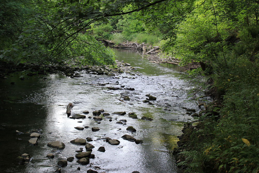 River Alyn